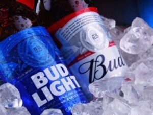 Bud/Bud Light Bottles
